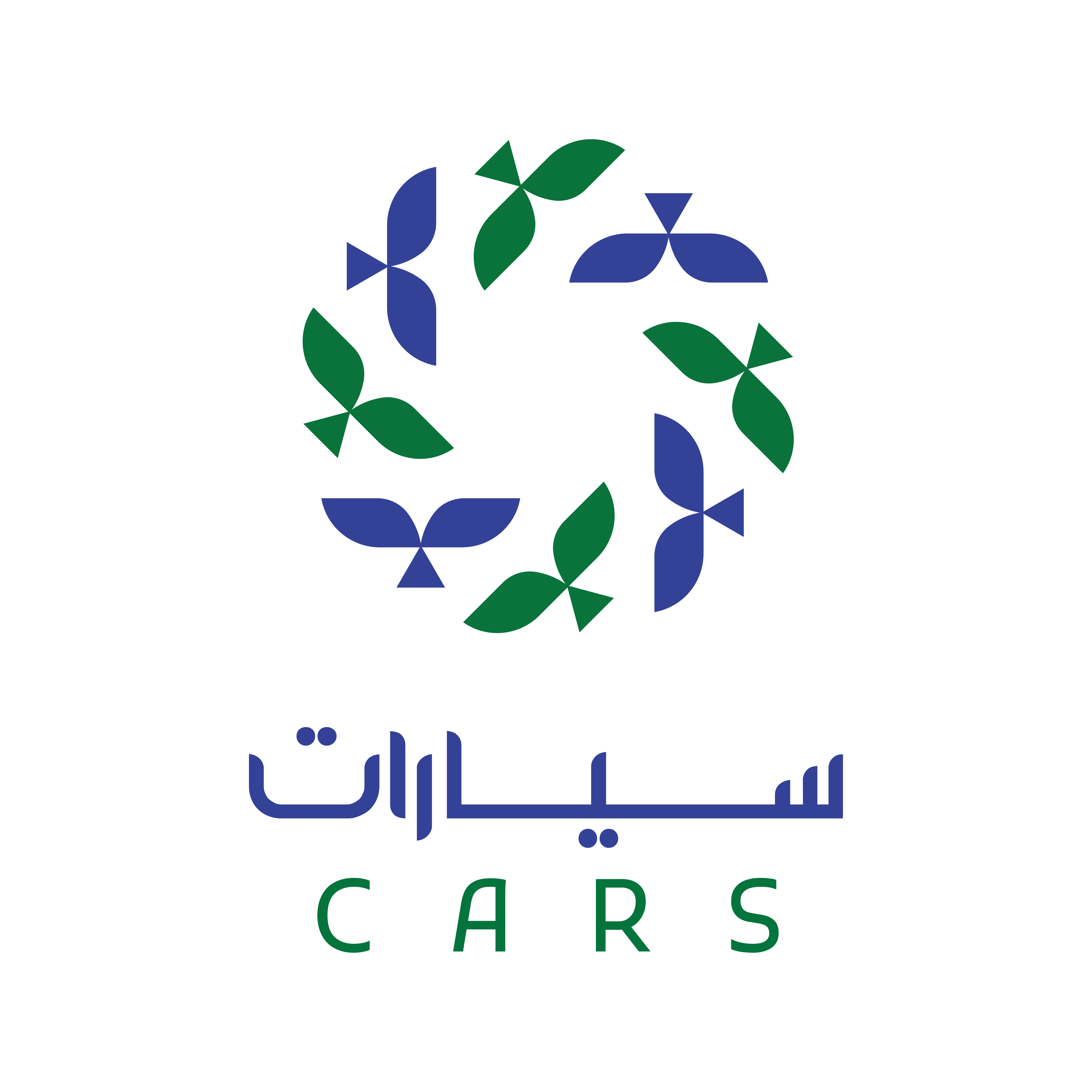 تفاعل السعودية سيارات