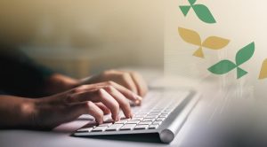 صناعه محتوي